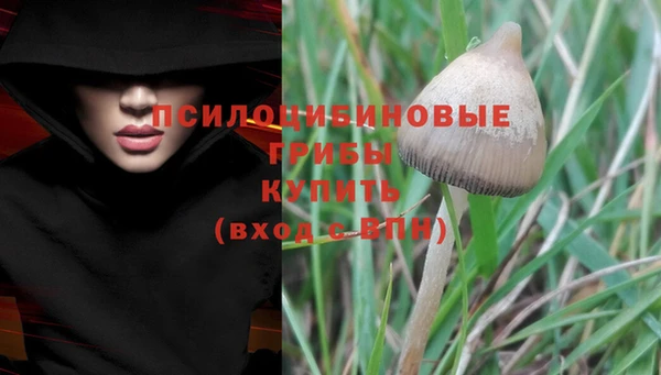 сатива Магас