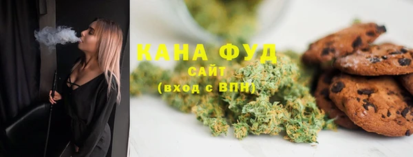 индика Алзамай