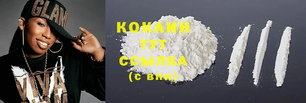 сатива Магас