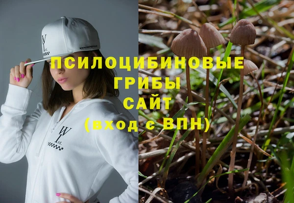 сатива Магас