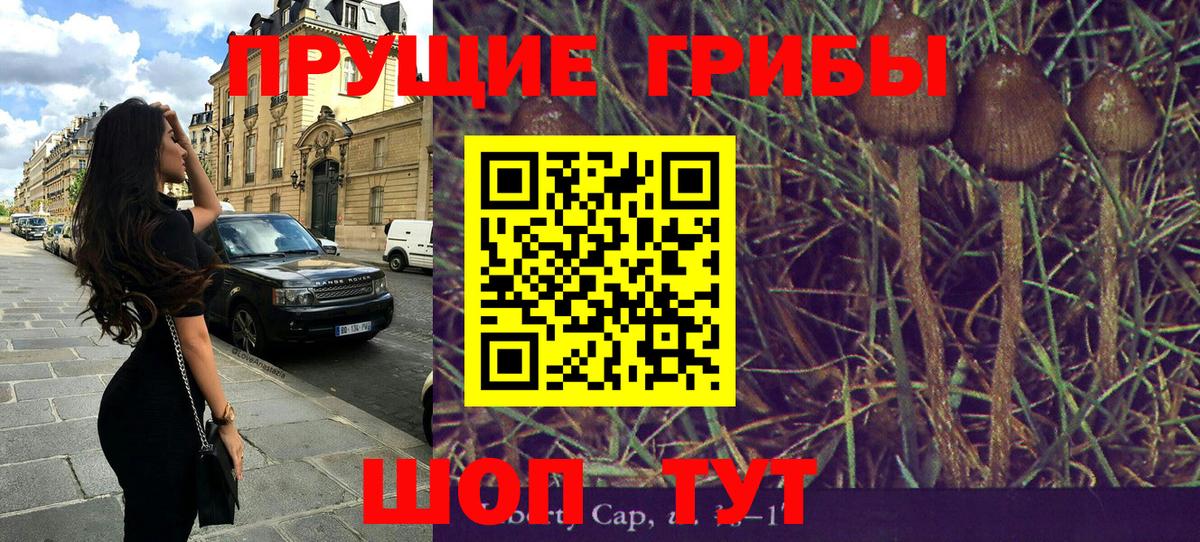 Галлюциногенные грибы ЛСД  Галлюциногенные грибы прущие грибы  Братск 