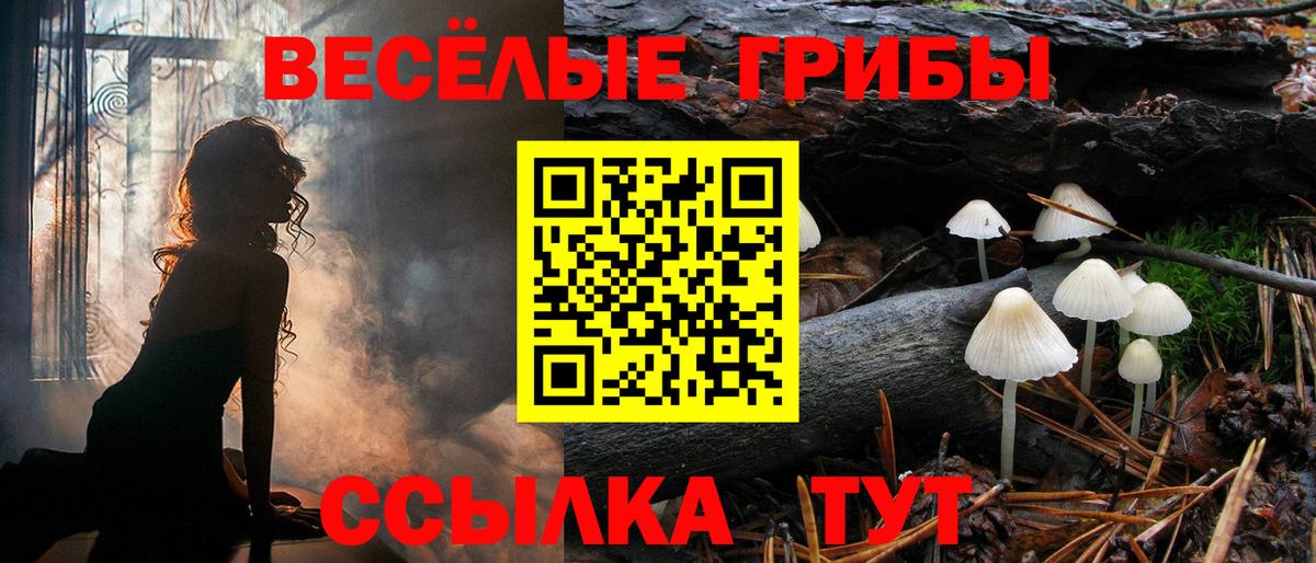 Братск  Галлюциногенные грибы мухоморы  Вход с VPN  Псилоцибиновые грибы Cubensis 