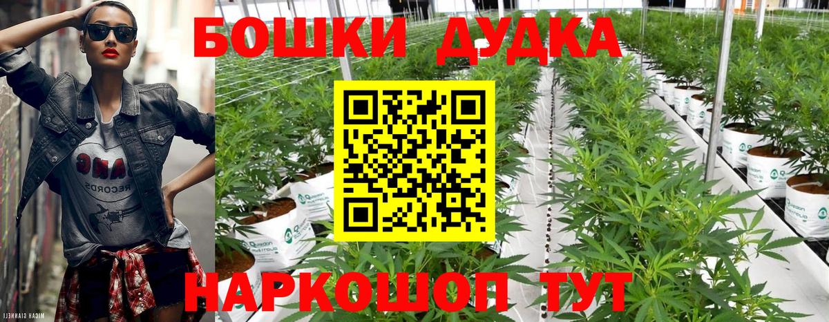 Марихуана индика  Конопля семена  Марихуана MAZAR  Братск 